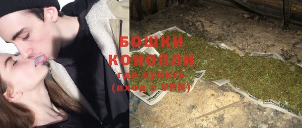PSILOCYBIN Горнозаводск