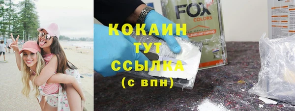PSILOCYBIN Горнозаводск